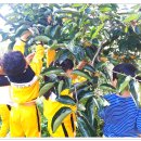 동학어린이집 이미지