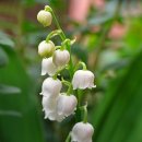 일상에서 실천하는 마음챙김 명상 이미지