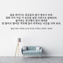 눈부신하루를 이미지