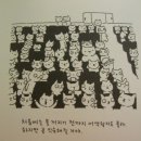 영화야채