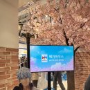 이타치 | 홍대 ak플라자 메가하우스 오픈런 방문 나루토 질풍전 우치하 이타치 룩업 구매 후기