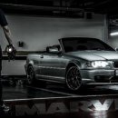 월수금통돼지 이미지