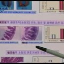 애터미 [주] 애터미판매 헤모힘뉴스동영상입니다.~애터미가이드~ 이미지