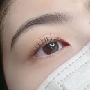 예쁘다속눈썹 네이버블로그
