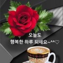 12.18(수) &#34;뇌 건강 정보&#34; 이미지