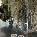 원암축산 이미지