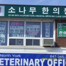 소나무한의원 이미지