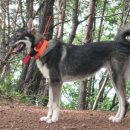 두환농장 이미지