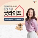 디팡 이미지
