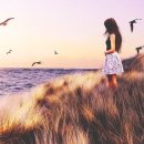 바람이 불어오는 곳 이미지