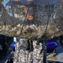 목포바지선포인트선상 | 목포 선상 쭈꾸미 낚시 다녀왔습니다! 손맛·수확 모두 만족