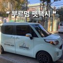 멍펫 - 송파구 충민로 10 | 멍펫