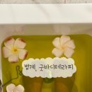 한솔센트럴 파크1 | [안양] 범계마사지 굿바디테라피 건전마사지 안양힐링공간 아로마테라피 찐찐 추천 후기