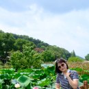 양동마을가는길 | 국내여행] 포항여행기 7탄 경주 양동마을 여행 후기｜유네스코 세계문화유산 한옥마을