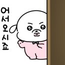 휘슈 이미지