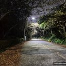 봉수대로-R 이미지