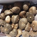 경기종묘농자재 이미지