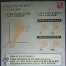 베스트안경