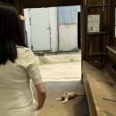 세희목장 이미지