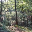 나막골약수터 이미지