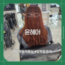 도당로 | 방학동미용실 도봉구미용실 염색잘하는 미용실 [윤헤어]