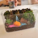 기체조(화타오금희) 이미지