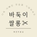 바둑이 쌀롱 이미지