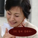 호야인터내셔널
