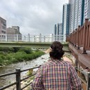 홍키통키 라이프 이미지