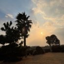 해노을2 이미지