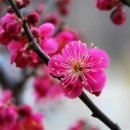 라도다방 이미지