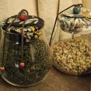 클라우드펜션민박 이미지