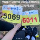 유성 국화 마라톤 참여 후기와 하체 스트레칭 루틴 소개