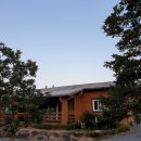 제주아이브리조트 이미지