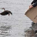 서울시 야생동물 구조센터 이미지