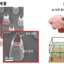 선명이네 이미지