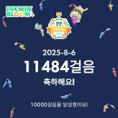 사과꽃 피는 저녁 | 대국민사과