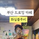 화실블루비