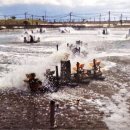 (주)비오지노키 이미지