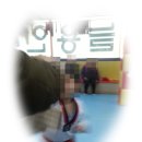 새하늘용인대태권도 이미지