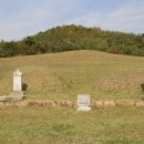 양성지묘역 및 신도비 이미지