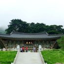지림사 - 1728 | 지림사