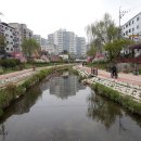 GS25앞 육교아래 이미지