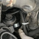 엠제트 퍼포먼스 이미지