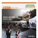 선산체육관 이미지