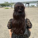 일진내추럴 | review | 알루 청담 헤어메이크업 (미호스튜디오 mihostudio 제휴)