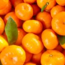 영천청과