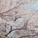 신산공원 이미지