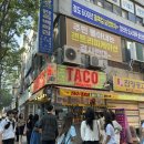 을지로 맛집 인생타코제목없음찾음 올디스타코 타코라이스 후기