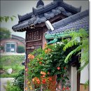 들꽃피는언덕 이미지